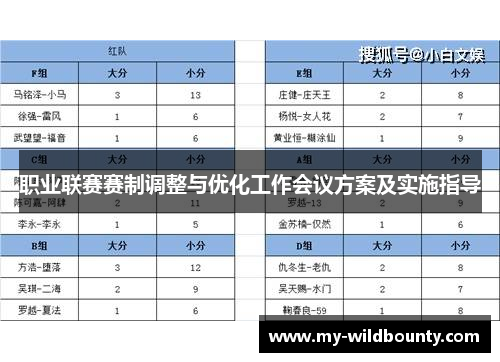 职业联赛赛制调整与优化工作会议方案及实施指导 职业联赛赛制调整与优化工作会议方案及实施指导