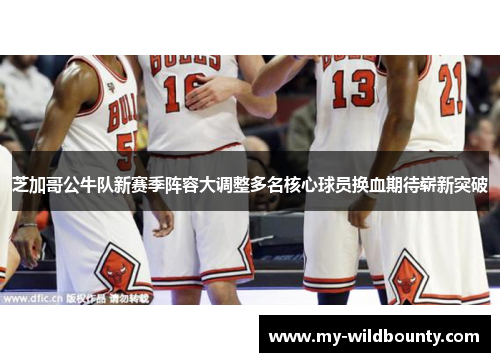 芝加哥公牛队新赛季阵容大调整多名核心球员换血期待崭新突破 芝加哥公牛队新赛季阵容大调整多名核心球员换血期待崭新突破