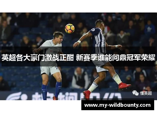 英超各大豪门激战正酣 新赛季谁能问鼎冠军荣耀
