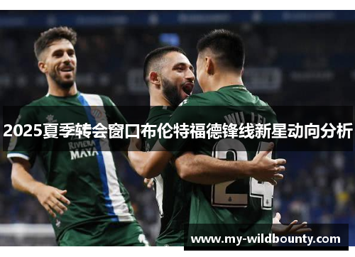 2025夏季转会窗口布伦特福德锋线新星动向分析