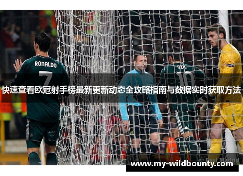 快速查看欧冠射手榜最新更新动态全攻略指南与数据实时获取方法 快速查看欧冠射手榜最新更新动态全攻略指南与数据实时获取方法