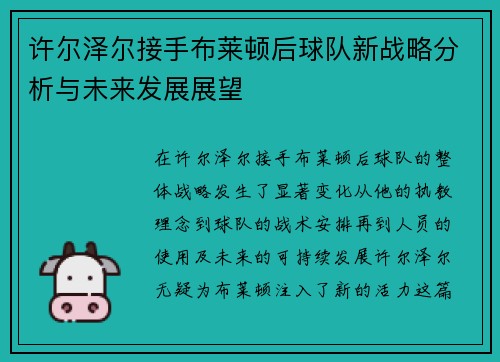 许尔泽尔接手布莱顿后球队新战略分析与未来发展展望